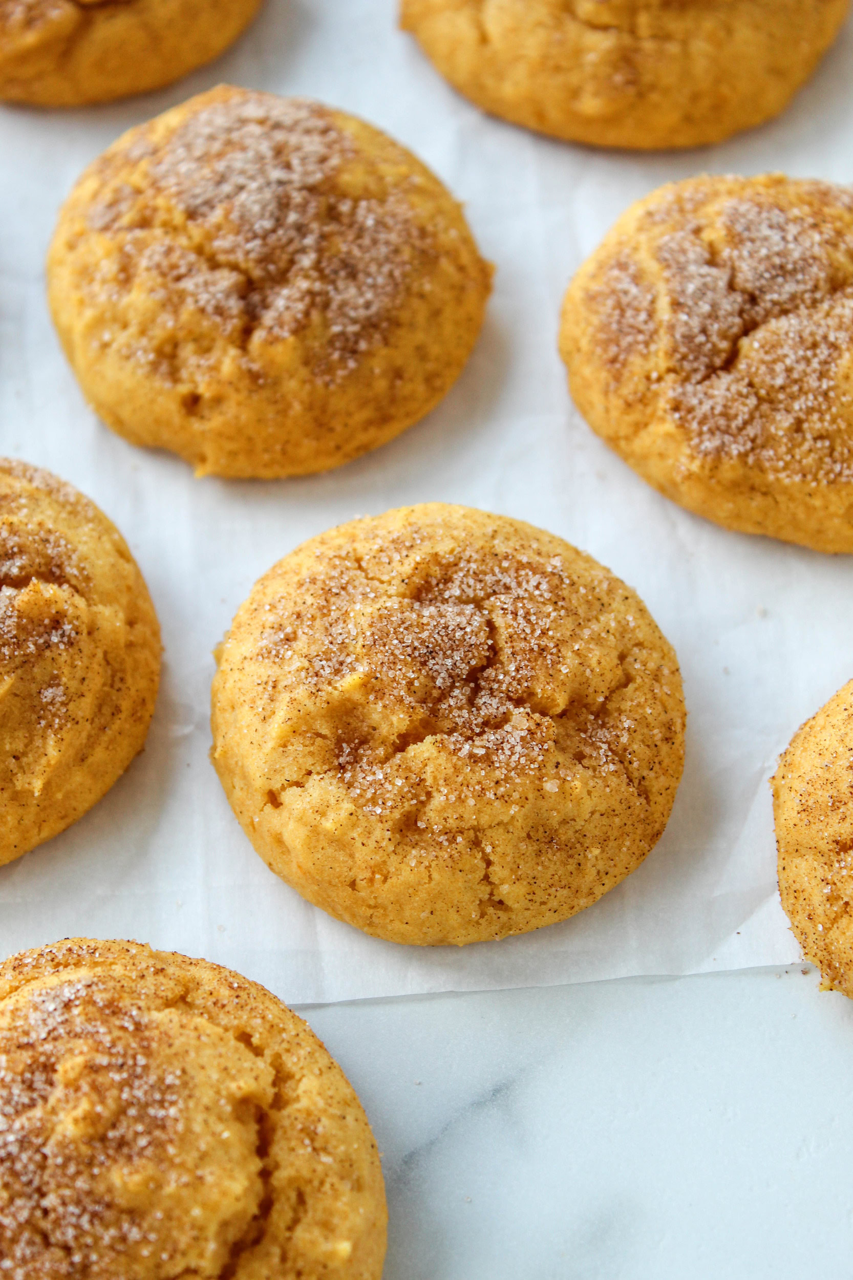 Vegan Pumpkin Snickerdoodles