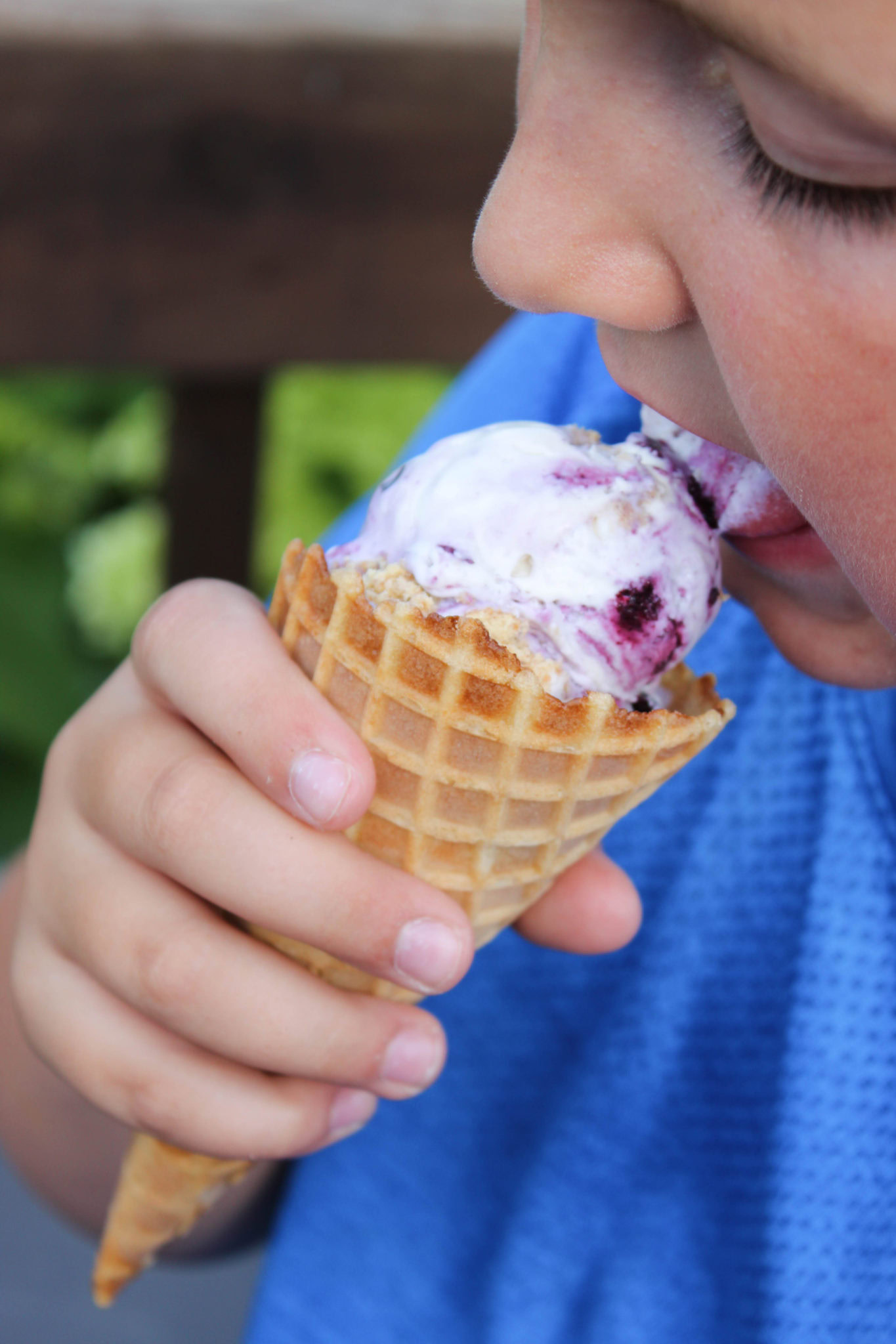 No Churn Blueberry Cheesecake Ice Cream