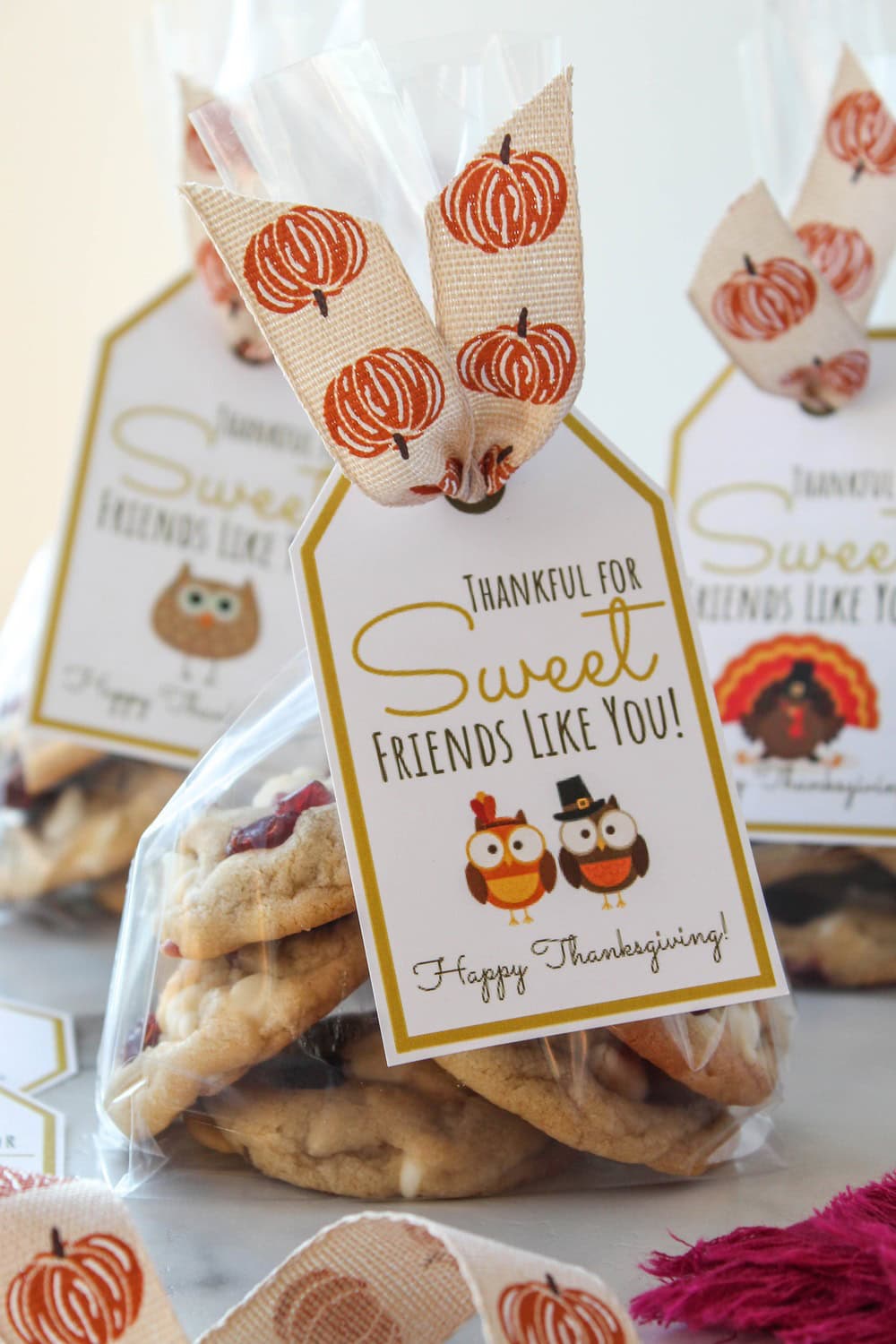 Thankful for Sweet Friends Like You Free Printable Gift Tags