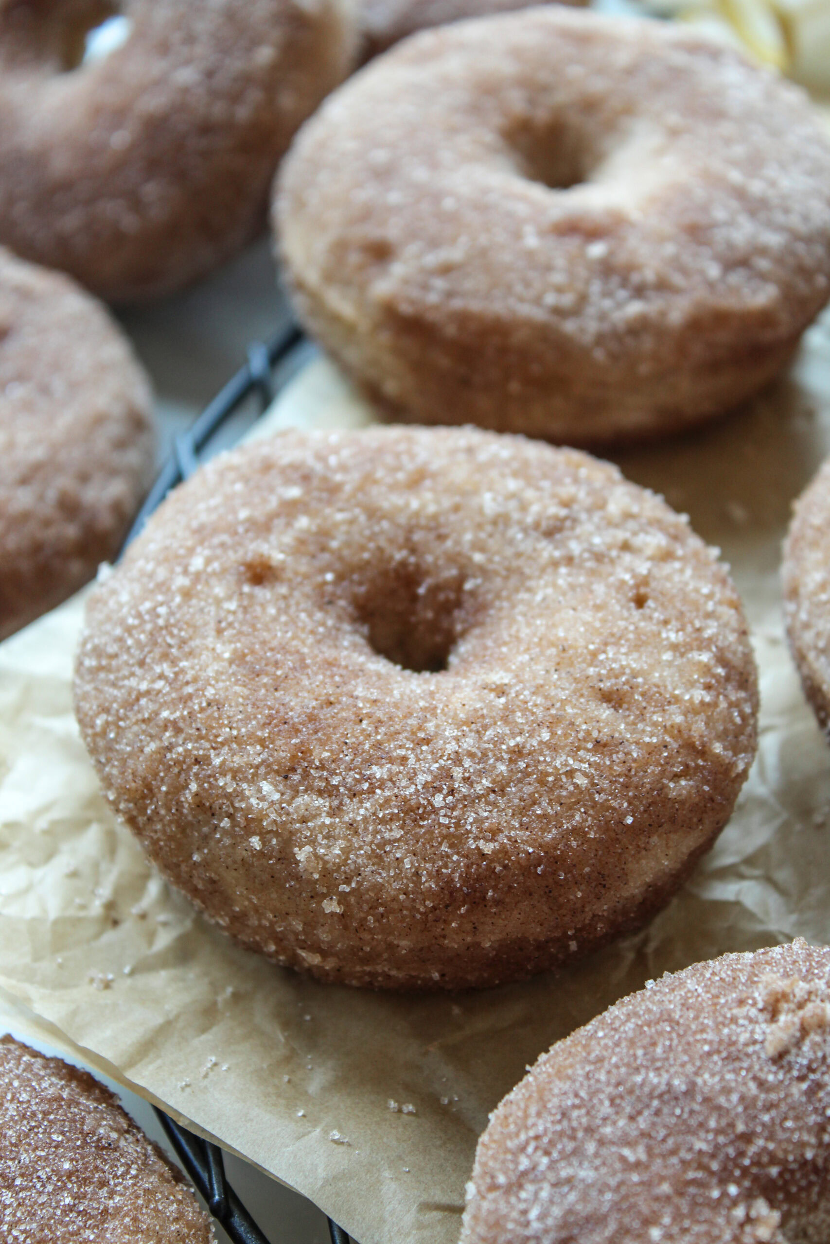 Freshly baked cinnamon sugar donuts dipped in melted butter and rolled in sugar