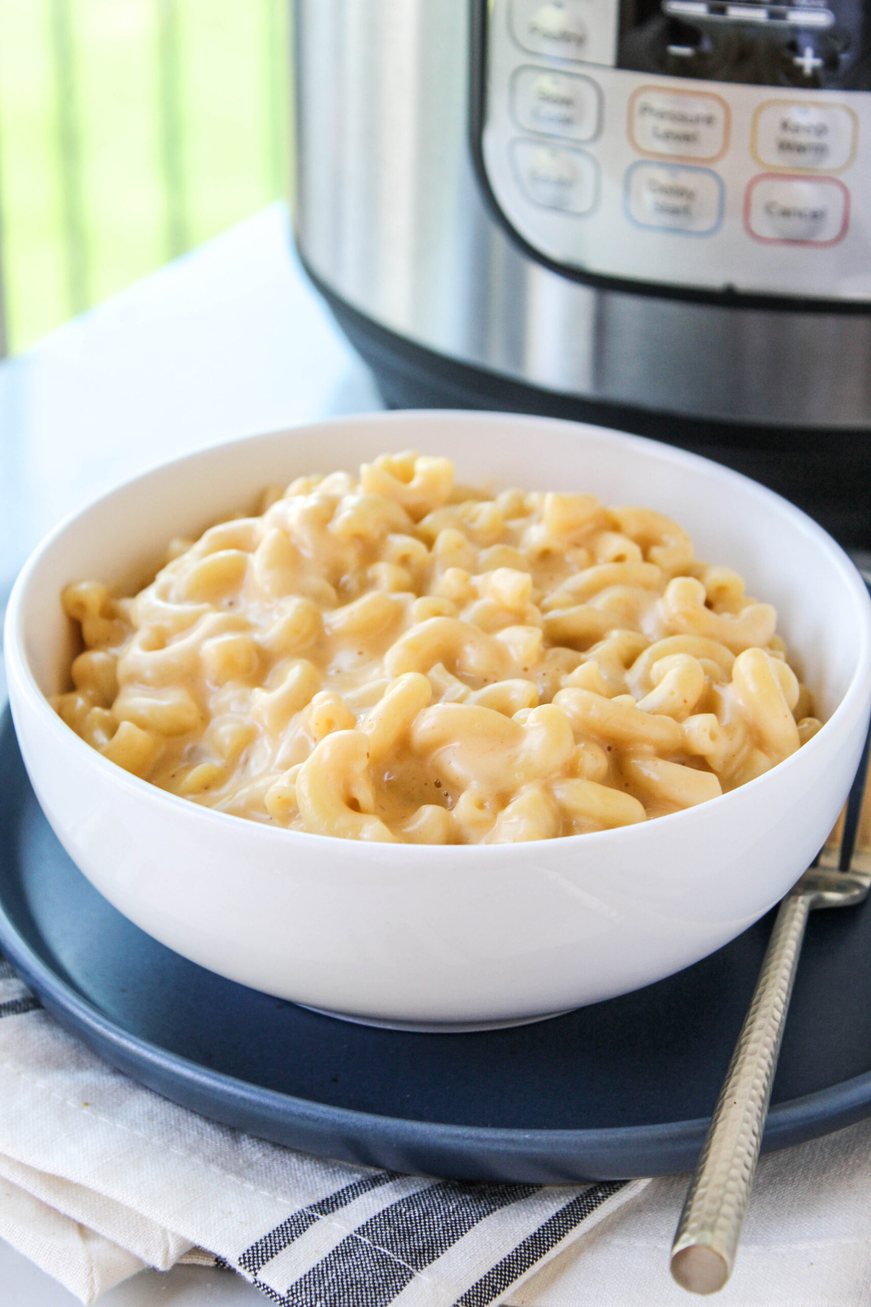Instant Pot Mac & Cheese