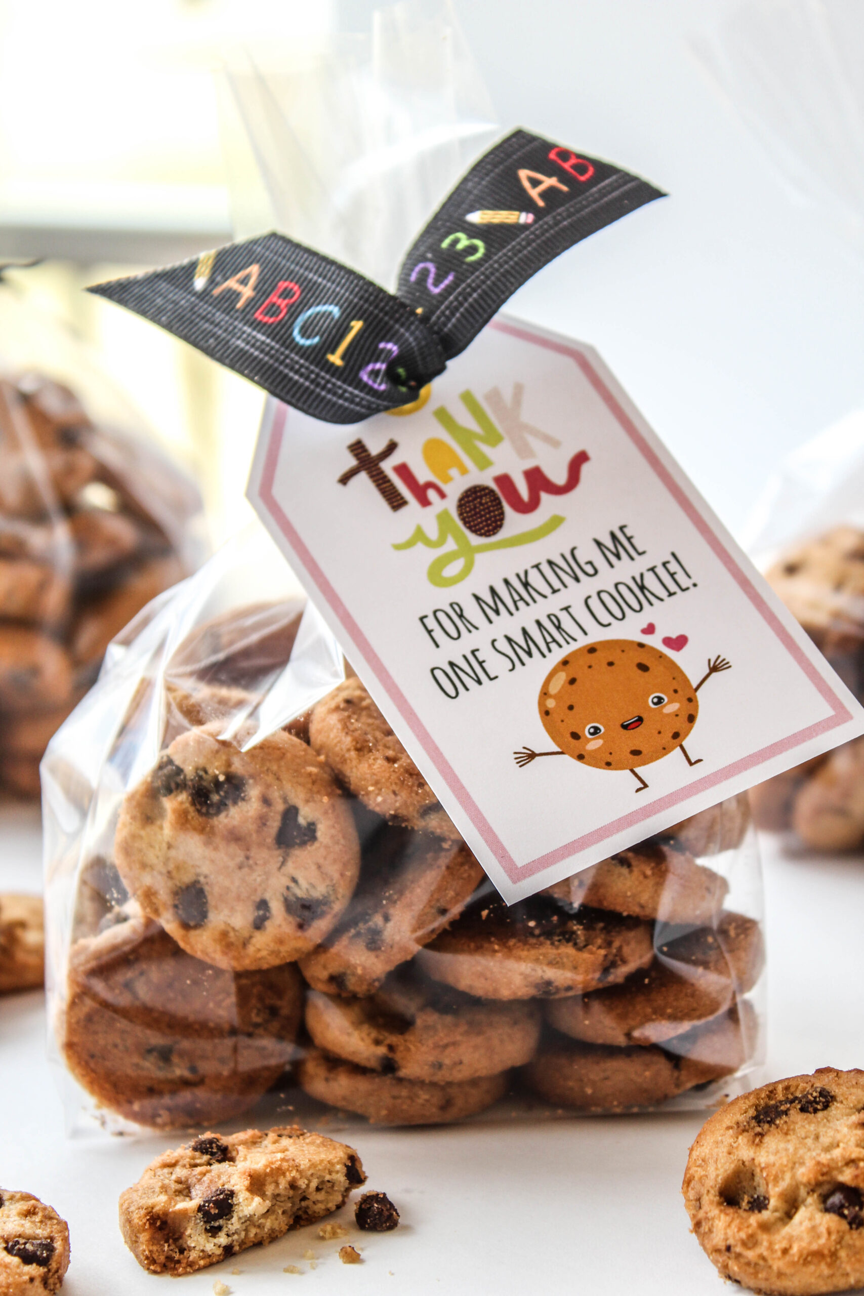 Thank You for Making Me One Smart Cookie Free Printable Gift Tags