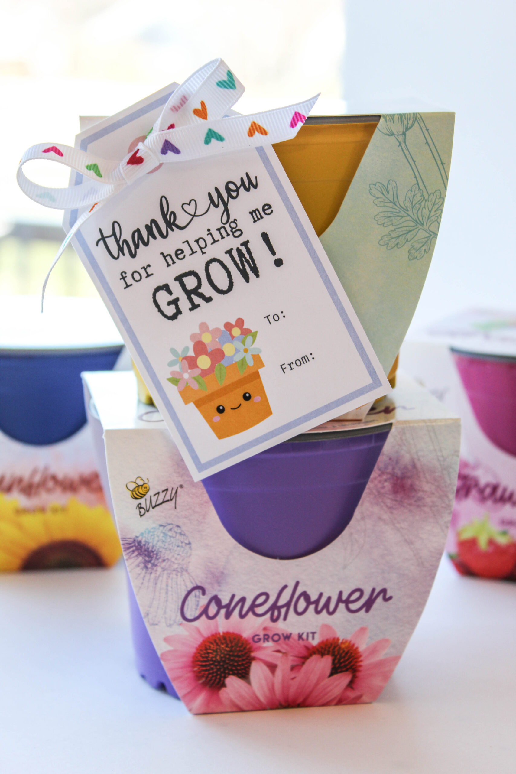 Thank You for Helping Me Grow Free Printable Gift Tags