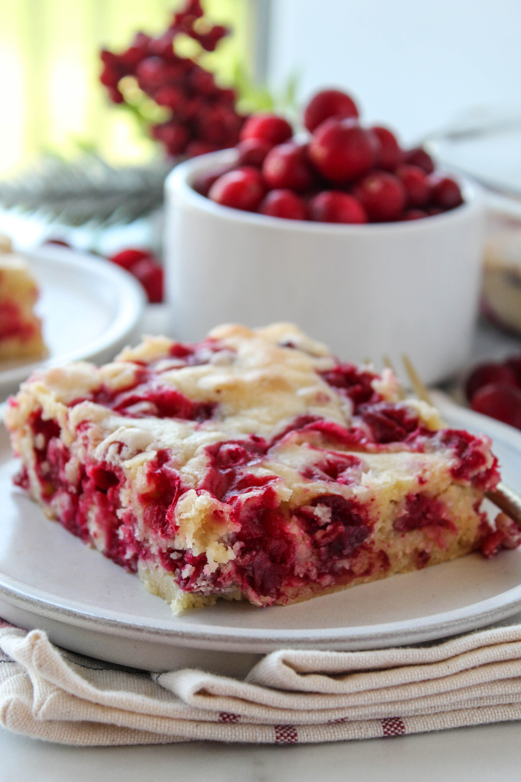Cranberry Christmas Cake