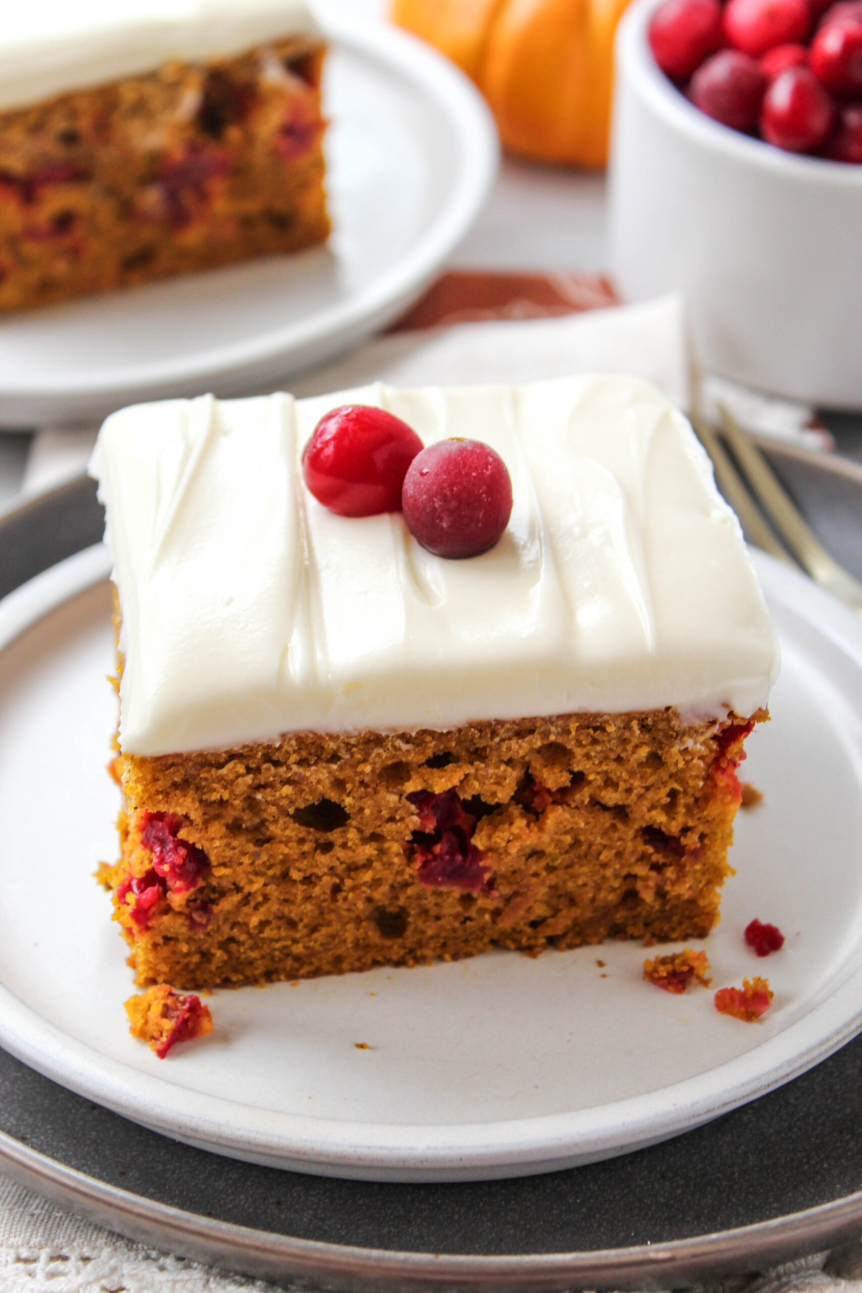 Cranberry Pumpkin Cake