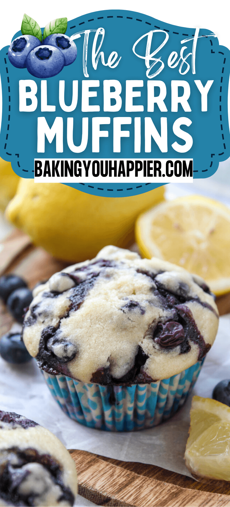 Best Blueberry Muffin Recipe