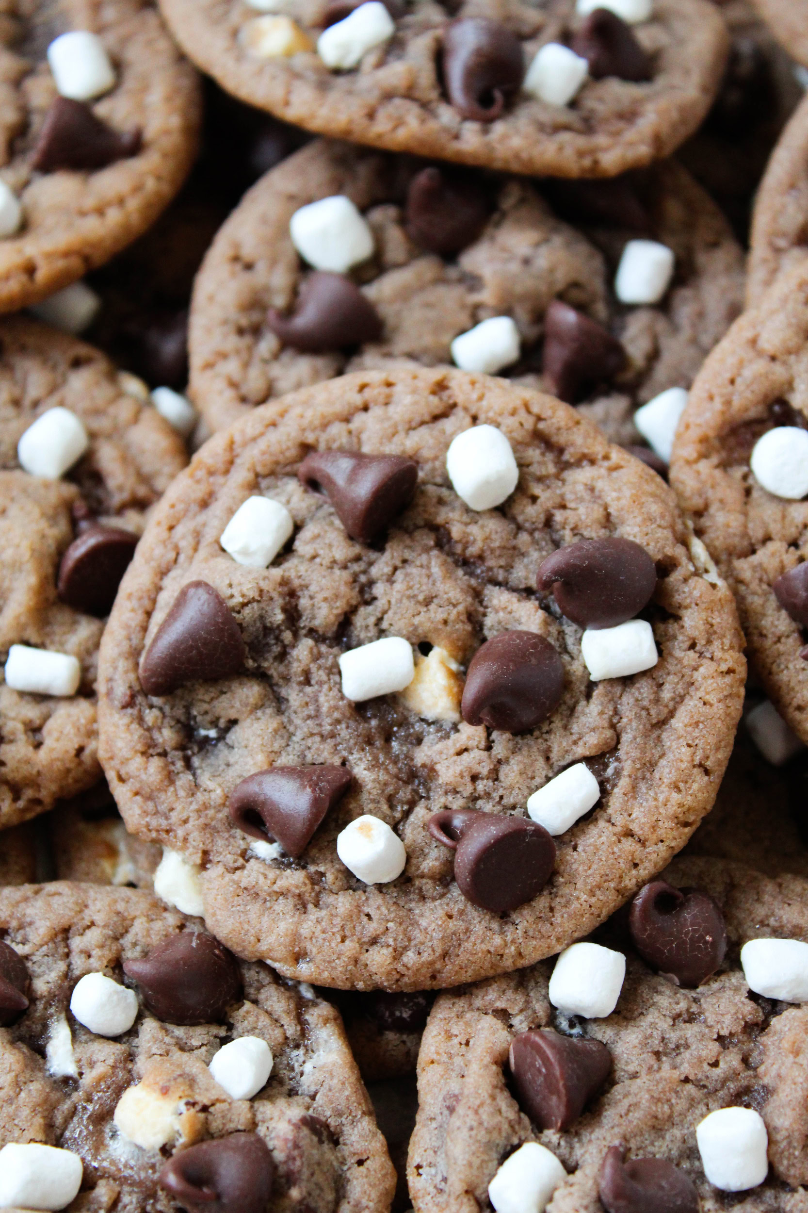 Close up of thin hot cocoa cookies with crackly tops