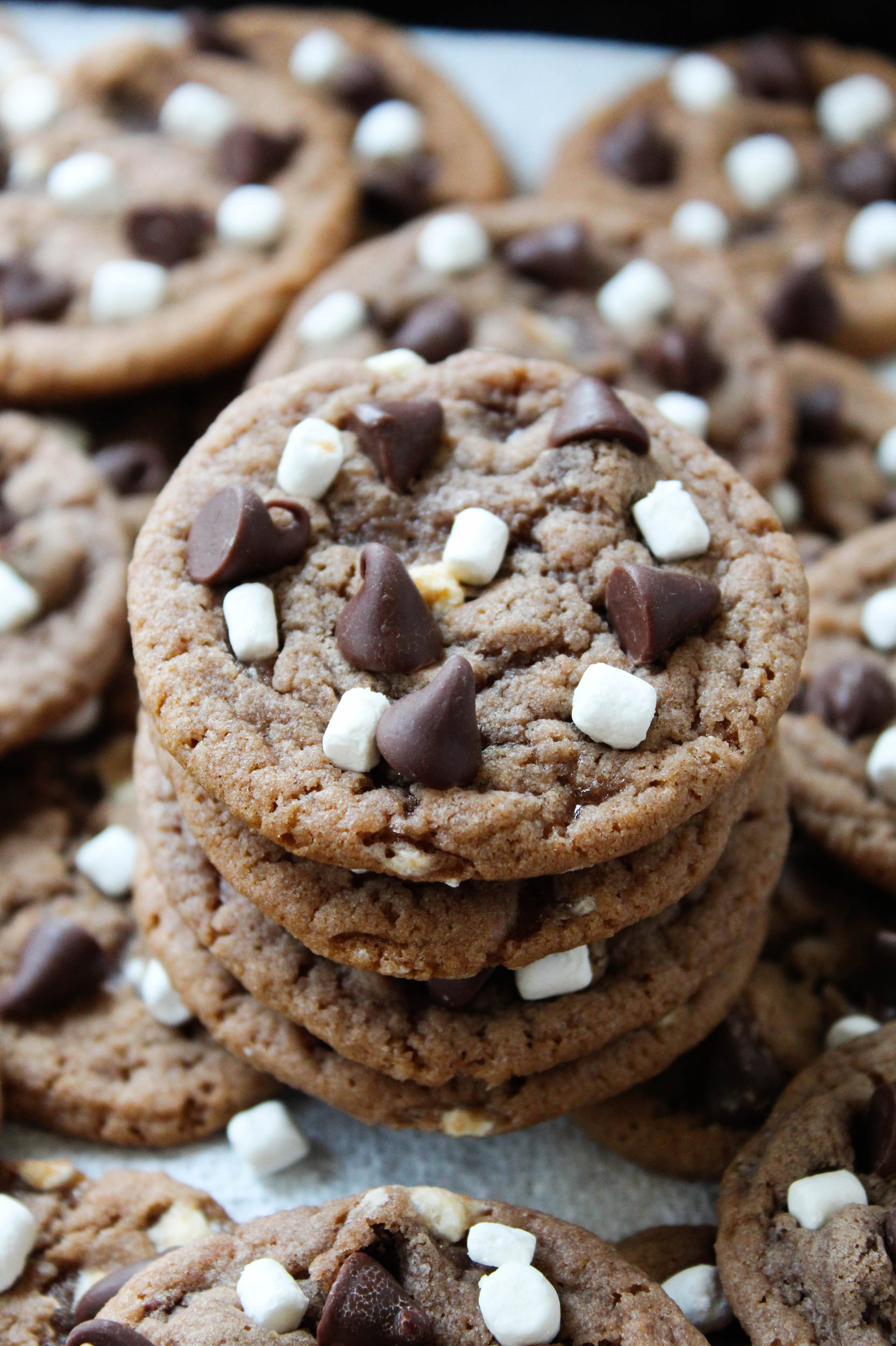 Thin hot chocolate cookies with crisp edges and soft centers