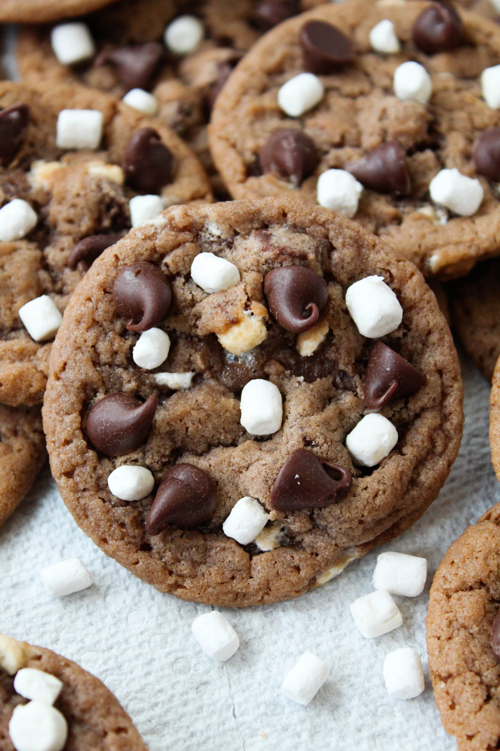 Thin hot cocoa cookies with marshmallow bits on top