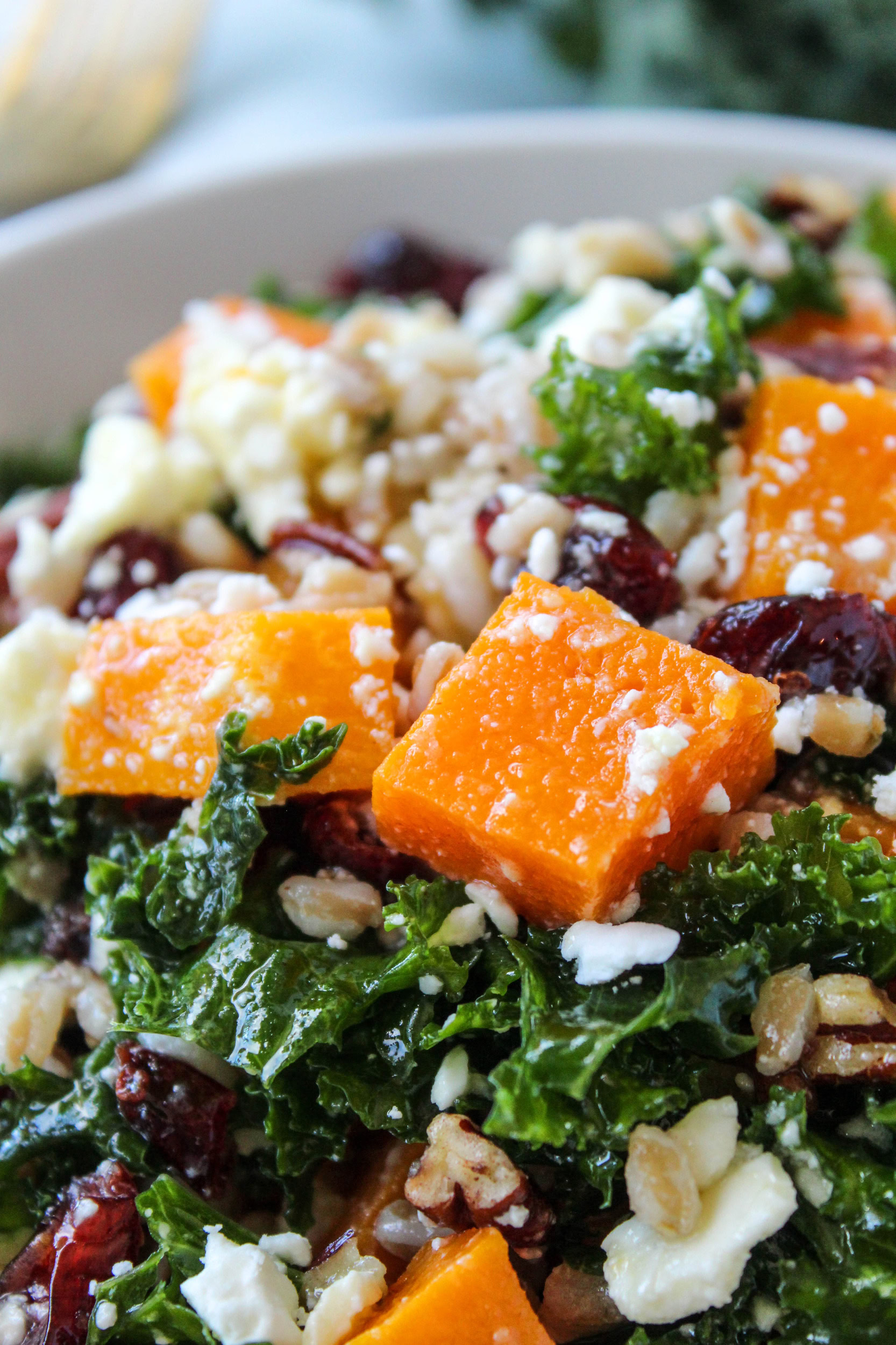 Butternut Squash Salad