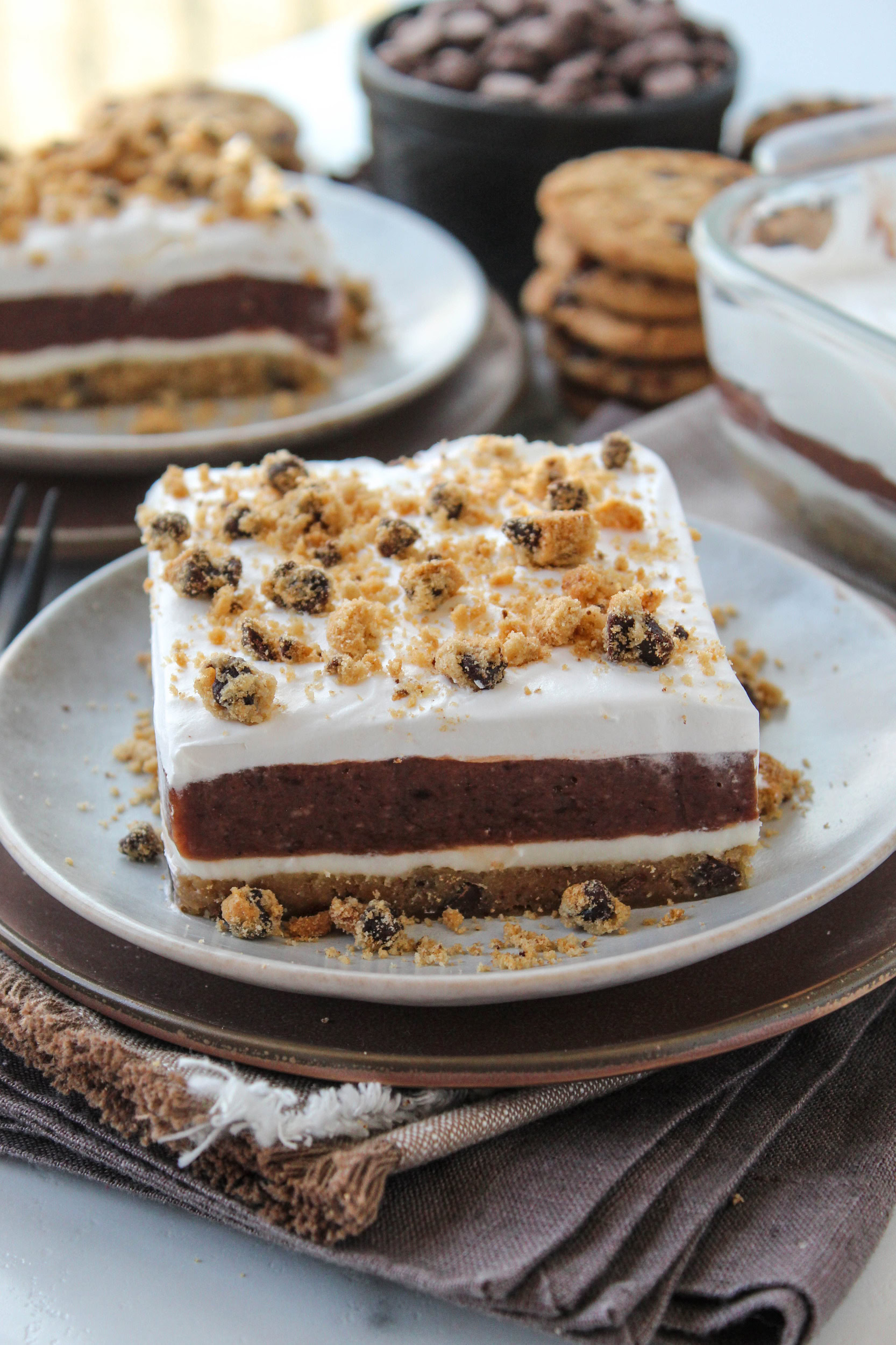 Chocolate Chip Cookie Delight