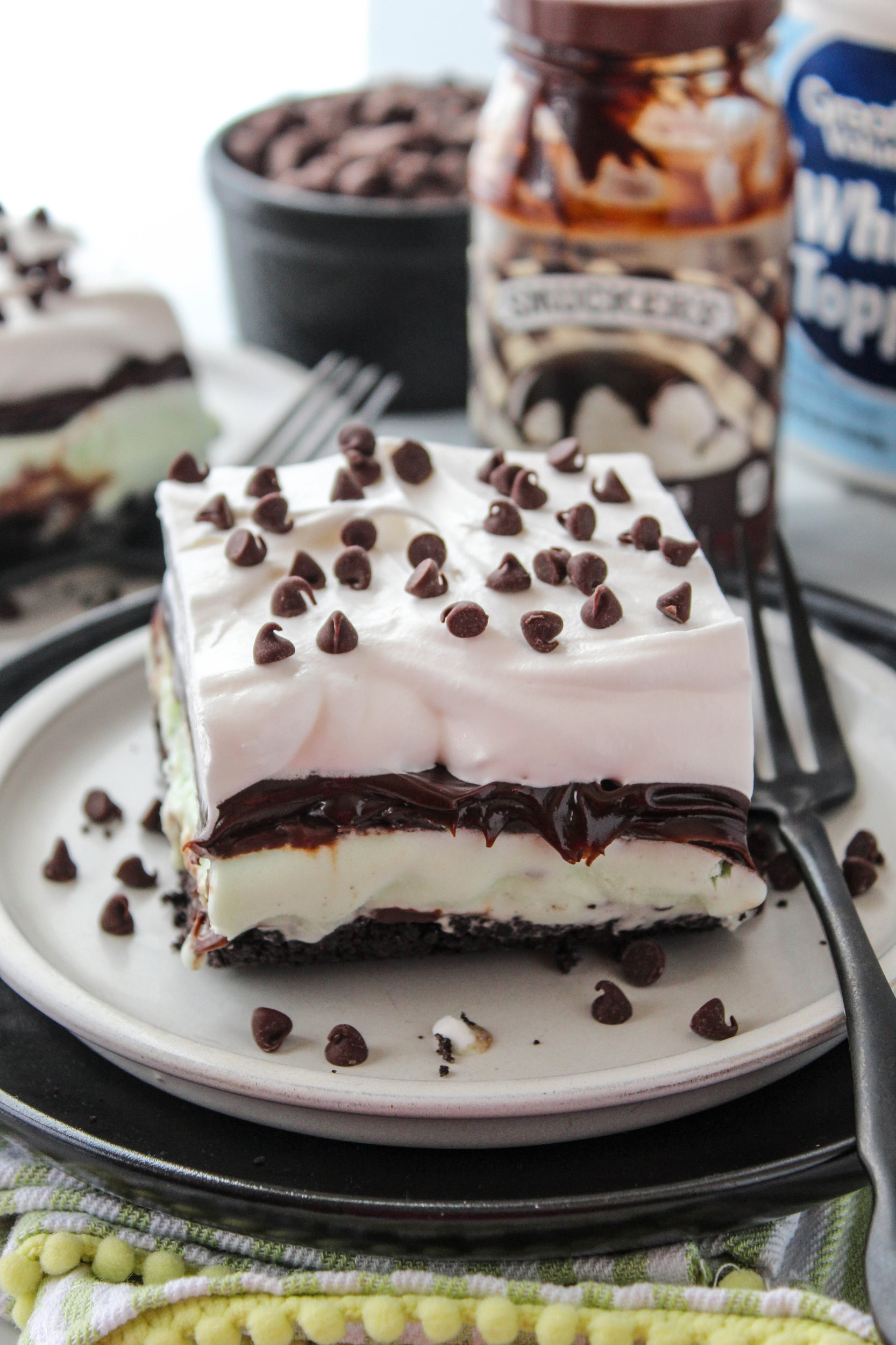 Mint Chocolate Chip Ice Cream Cake