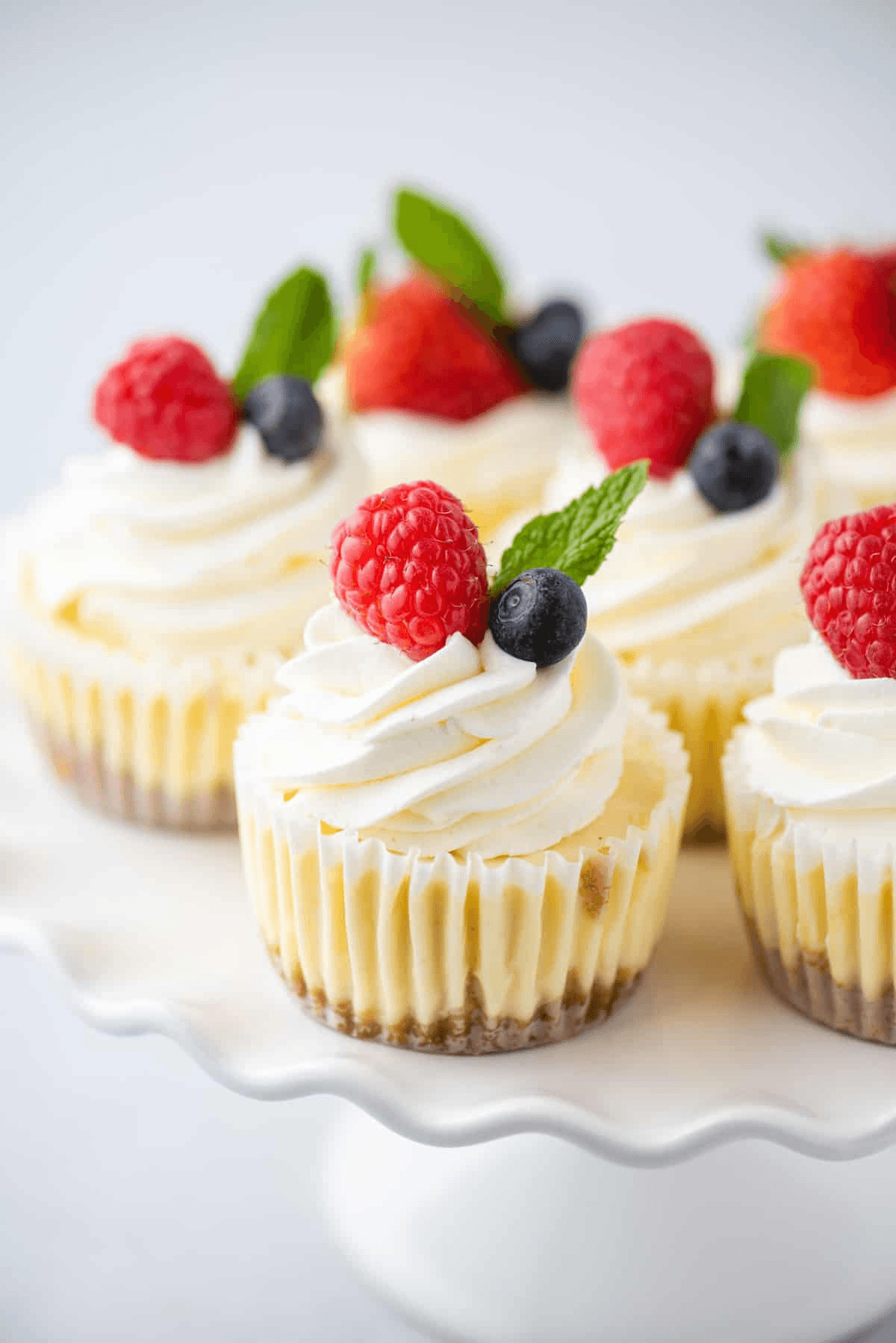 30 Mini Cheesecake Recipes