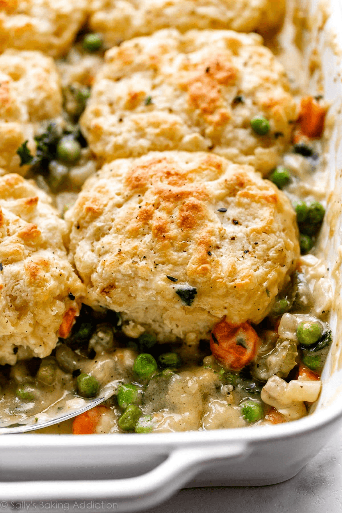 40 Vegetarian Weeknight Dinner Ideas