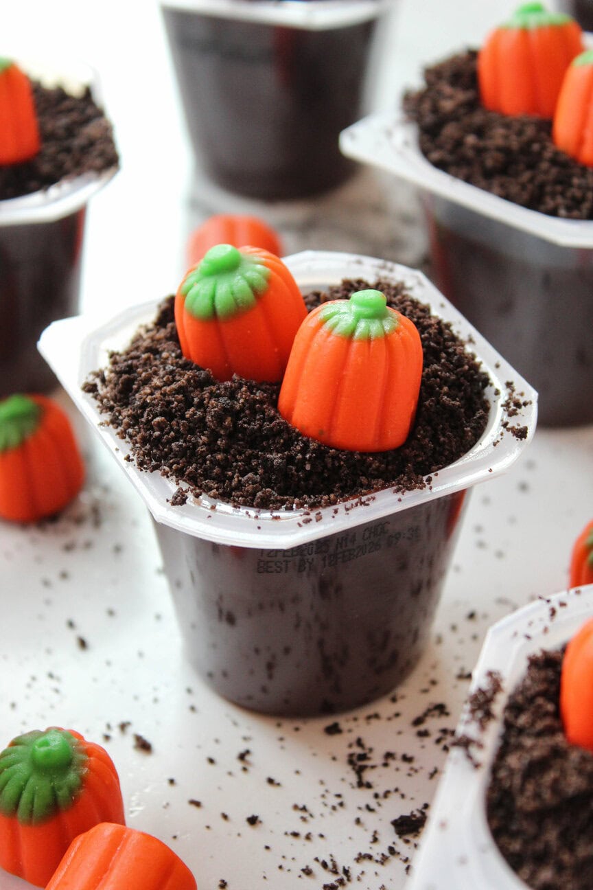 Pumpkin patch dirt cups made with chocolate pudding cups