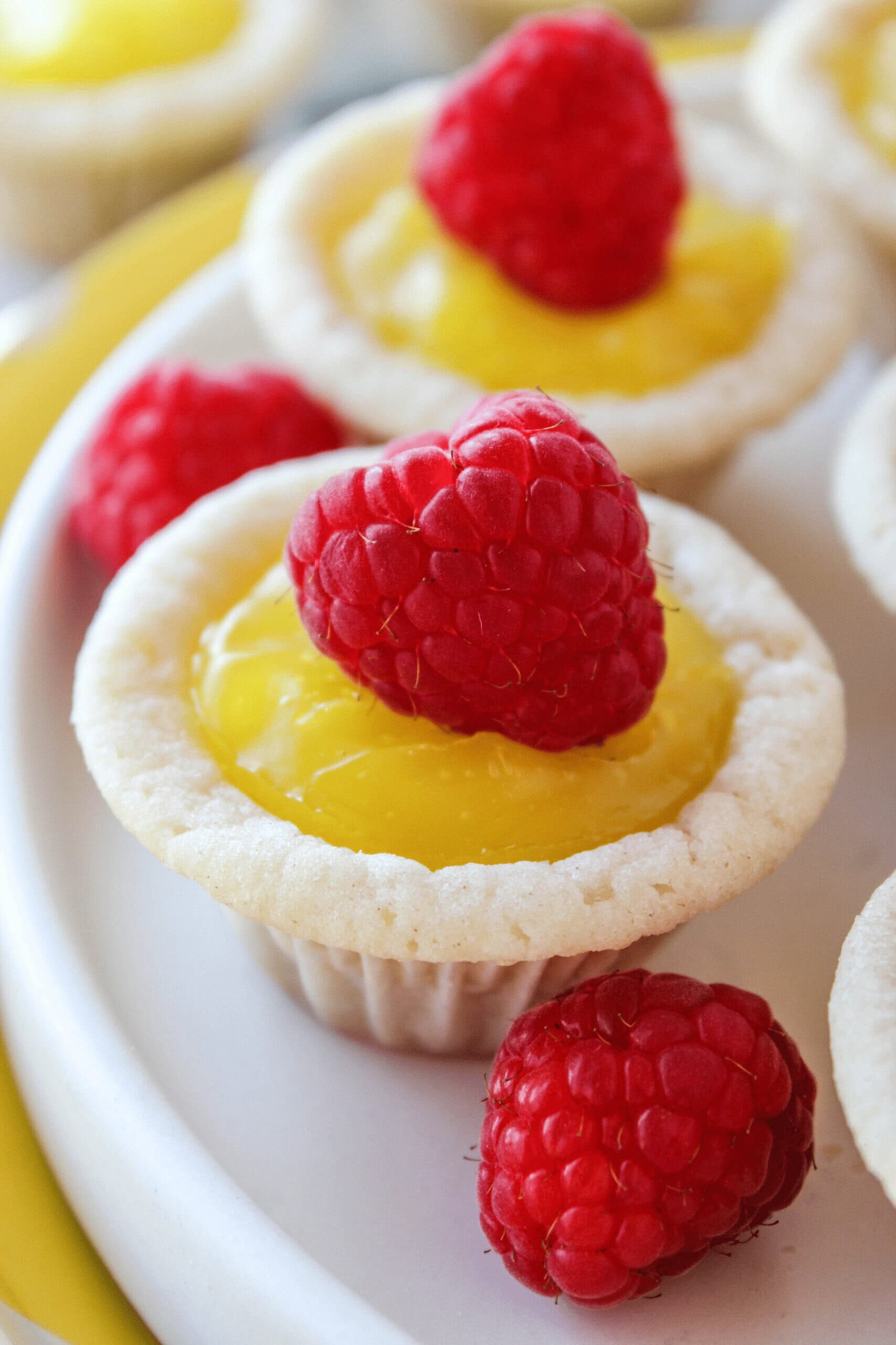 25 Sugar Cookie Recipes