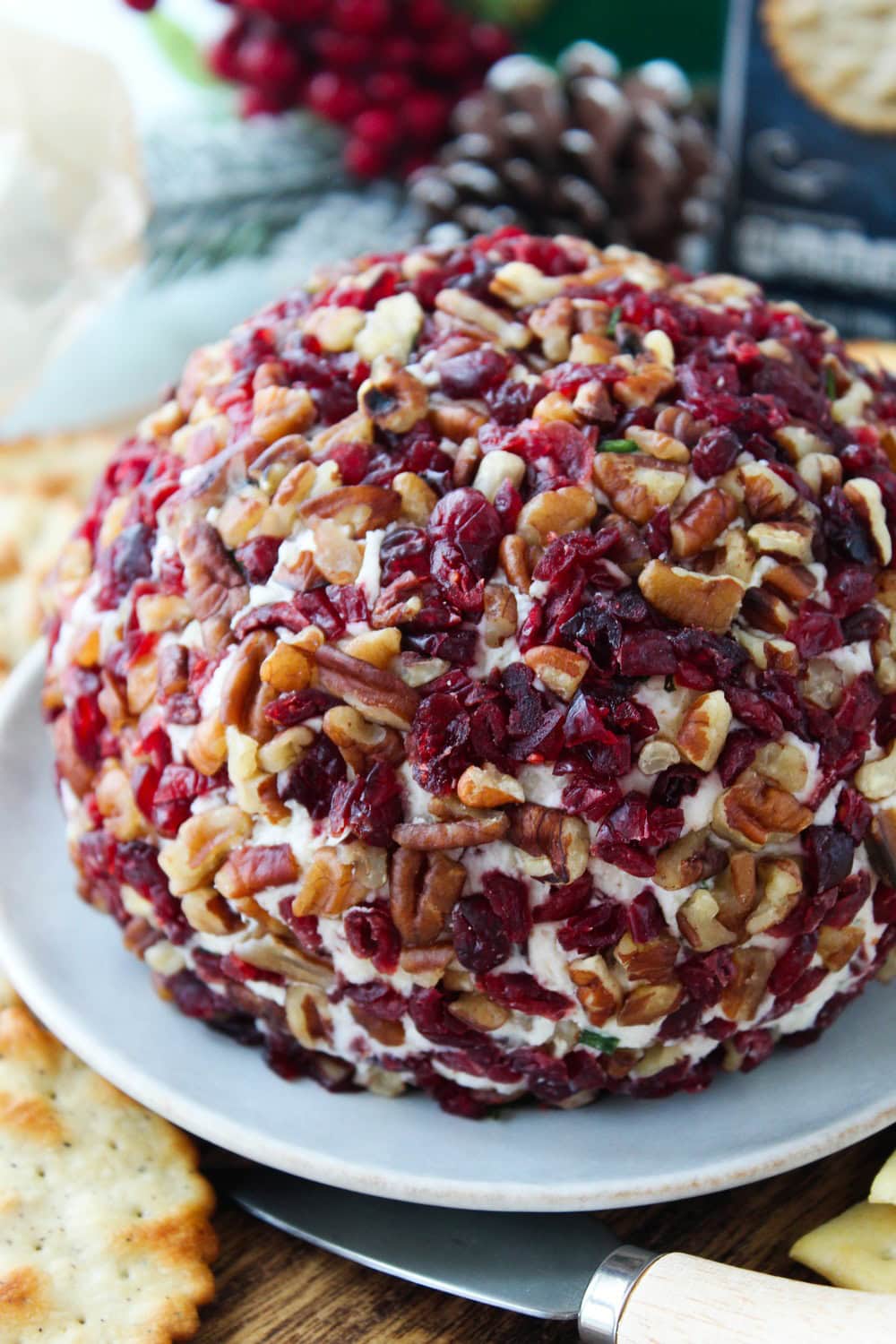 Close‑up of cranberry pecan cheese ball showing festive red cranberries and pecans
