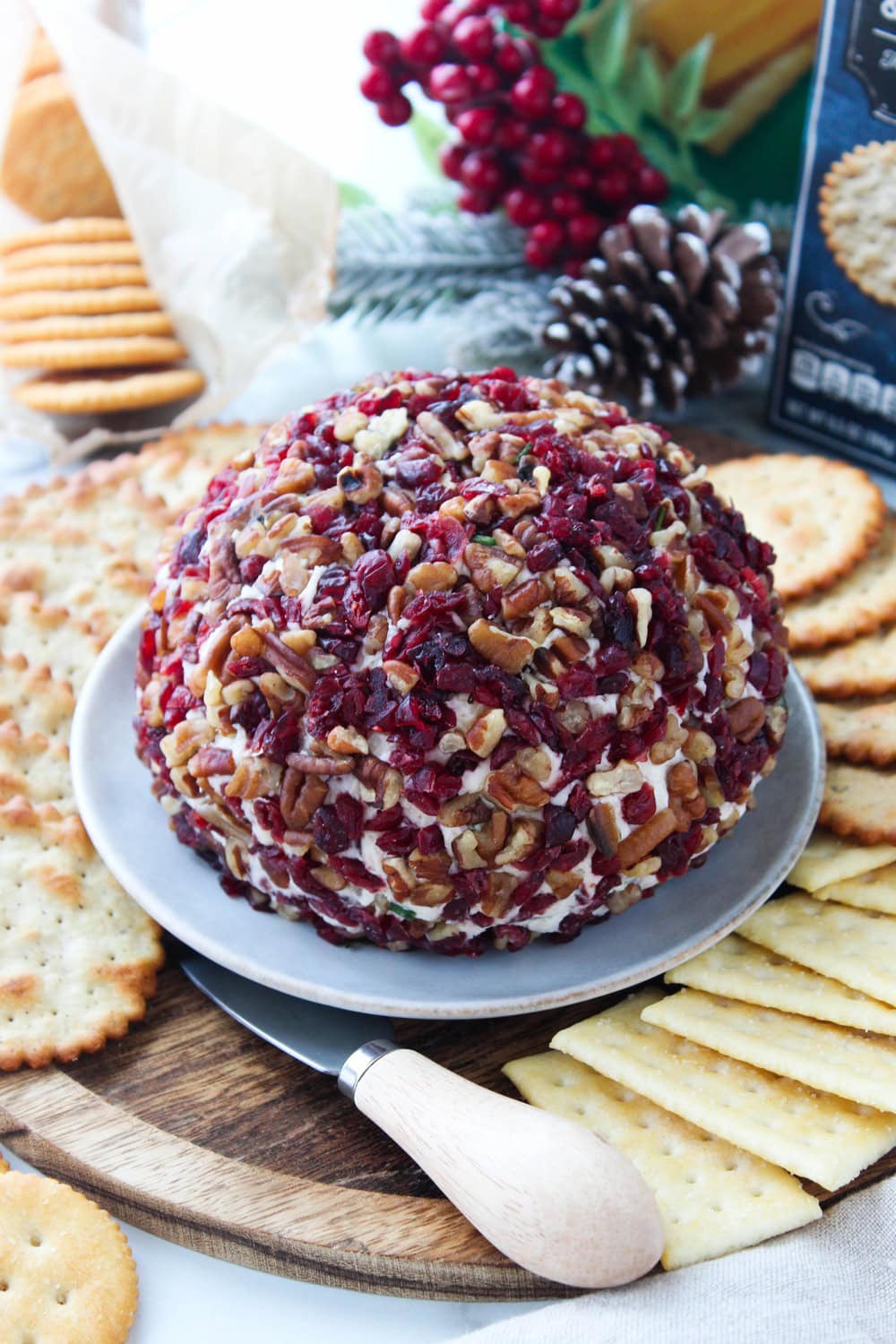 Creamy cheese ball rolled in chopped pecans, cranberries, and fresh chives