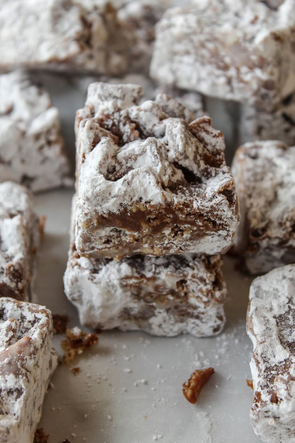 Close‑up of chewy puppy chow bars coated in powdered sugar